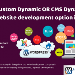 top website designing company in chennai