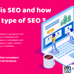 what is seo and it's types