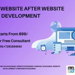 Web development company in ghaziabad