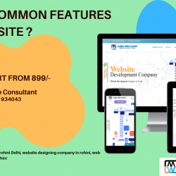 Common Features in a Website