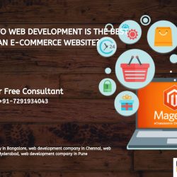 Web development company in Bangalore