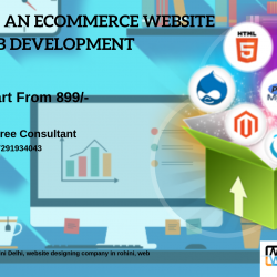 Website Designign company in rohini Delhi