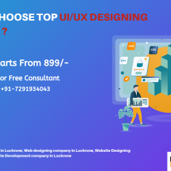 How to choose top UI_UX Designing Company