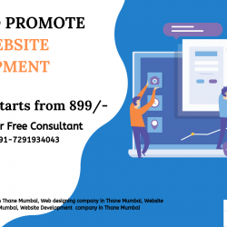 Promote Your Website Development