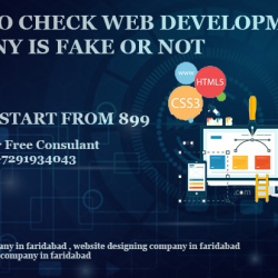 Web Development Company In Faridabad