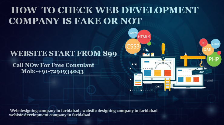 Web Development Company In Faridabad