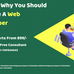 Reason Why You Should Become A Web Developer