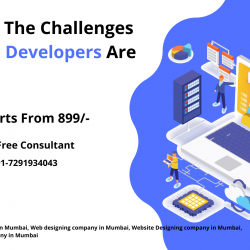 What Are The Challenges That Web Developers Are Facing