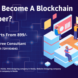 How To Become A Blockchain Developer