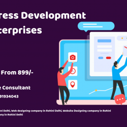 Is WordPress Development Fulfill Enterprises Needs