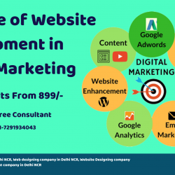 The Role of Website Development in Digital Marketing