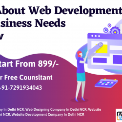 Myths About Web Development Your Business Needs